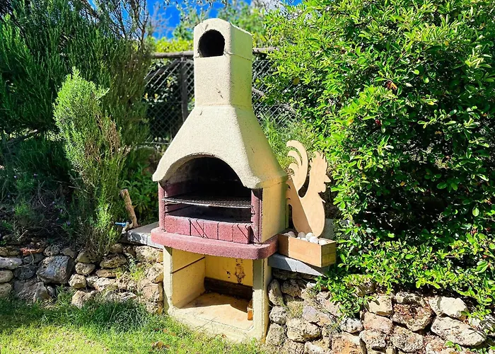 Bosco Ai Marzi