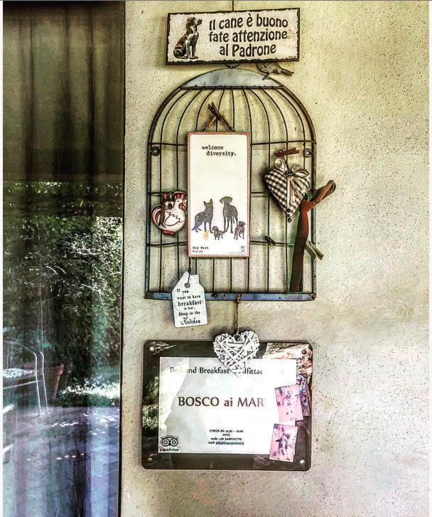 Bosco Ai Marzi Bed & Breakfast