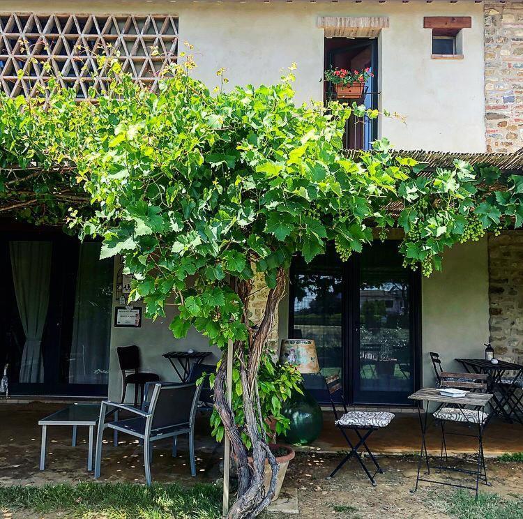 Bosco Ai Marzi 3* Poggibonsi