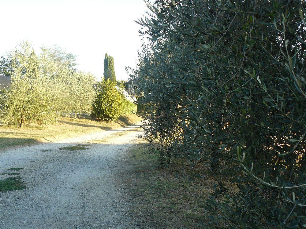 Bed & Breakfast Bosco Ai Marzi 3*