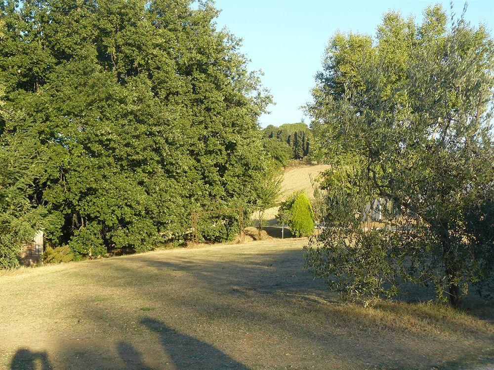 Bosco Ai Marzi