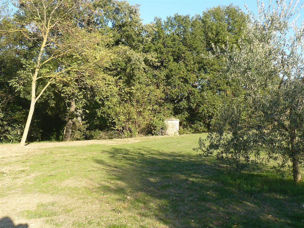 Bosco Ai Marzi Poggibonsi