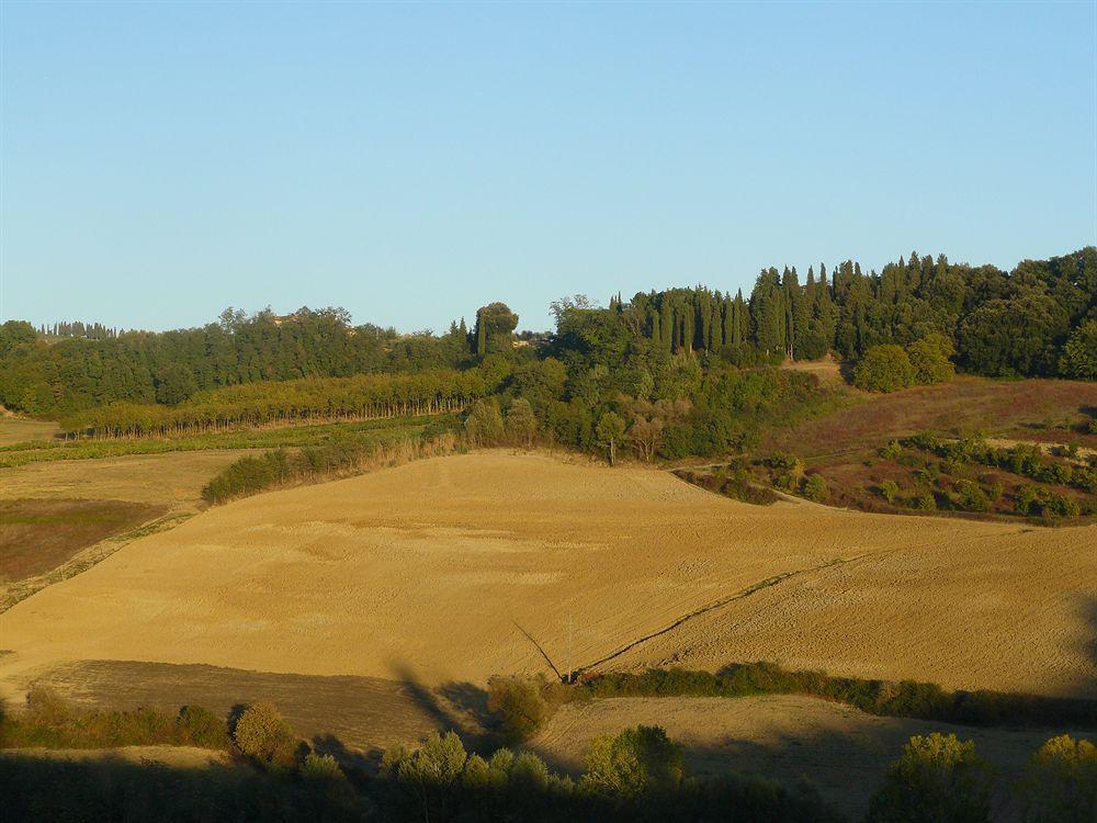 Bosco Ai Marzi