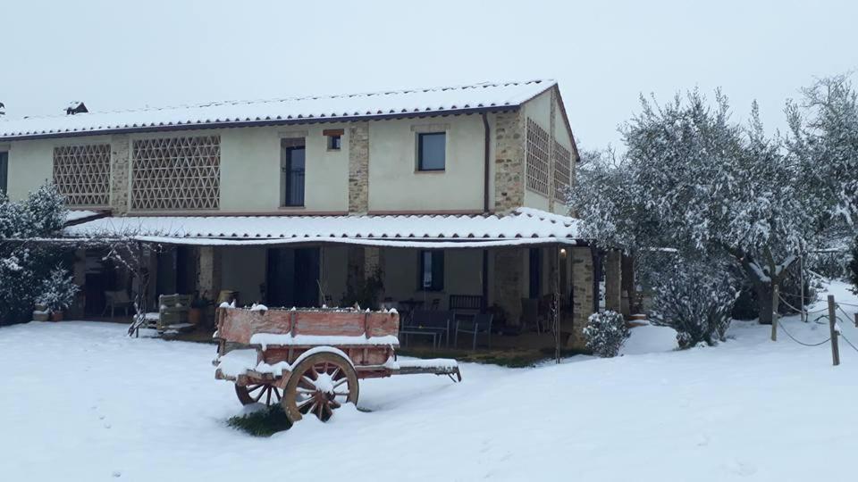 Bed & Breakfast Bosco Ai Marzi Poggibonsi